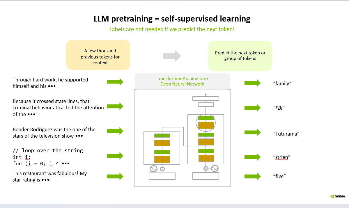 Unlocking the Potential of LLM Pretraining with Self-Supervised Learning